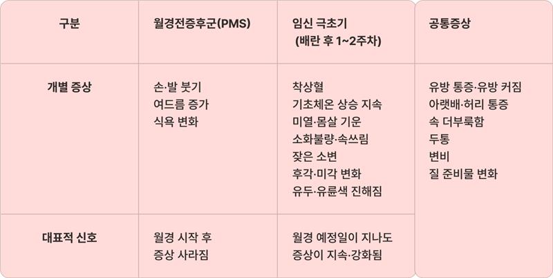임신초기증상