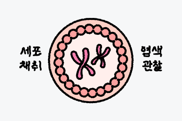 자궁경부암검사