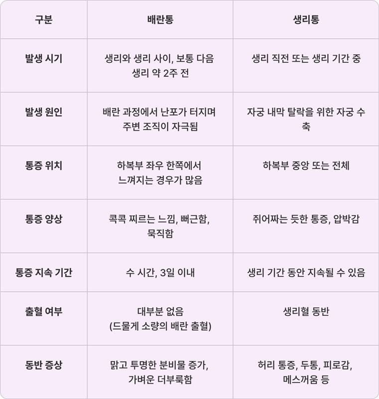 배란통 생리통 차이