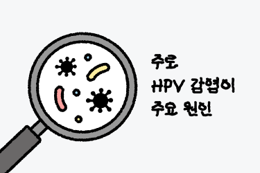 자궁경부이형성증_원인