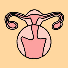 '자궁경부이형성증' 이게 뭐야?